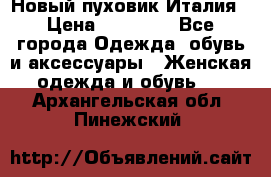 Новый пуховик Италия › Цена ­ 11 500 - Все города Одежда, обувь и аксессуары » Женская одежда и обувь   . Архангельская обл.,Пинежский 